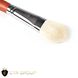 Brush for correction and tone CTR W0586 goat pile