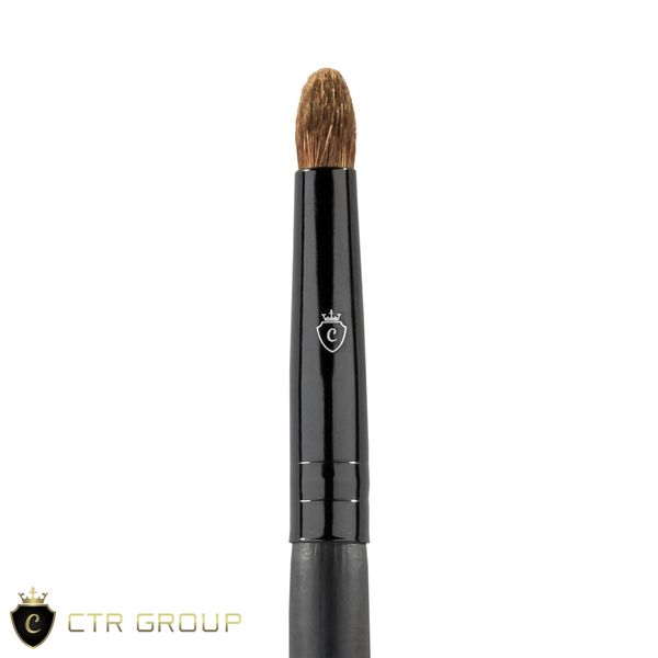 Blending brush CTR W0188 Dark Sharm squirrel pile