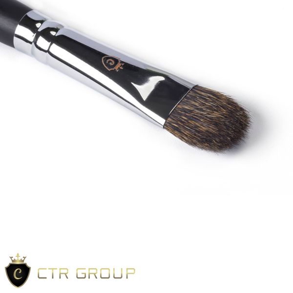 Eye shadow brush CTR W0505 squirrel pile